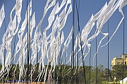 32 FESTIVAL CERVIA 2012 - 039